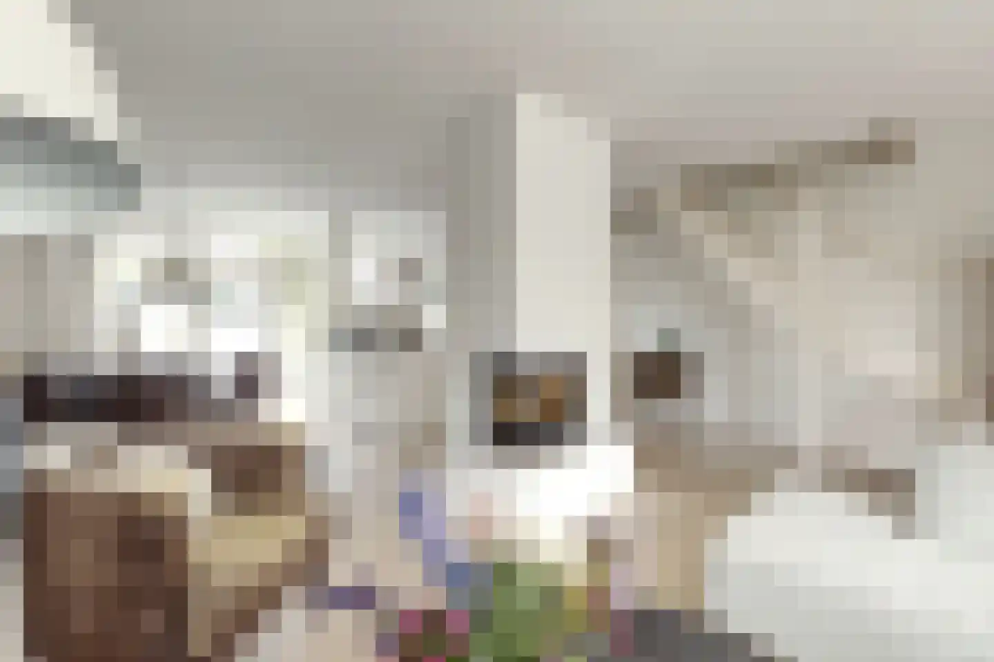 Oranjestraat 9 Hoofddorp thumbnail 6