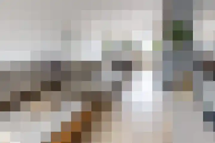 Oranjestraat 9 Klundert thumbnail 15