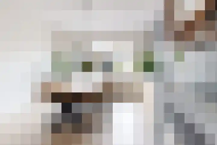 Oranjestraat 9 Klundert thumbnail 18