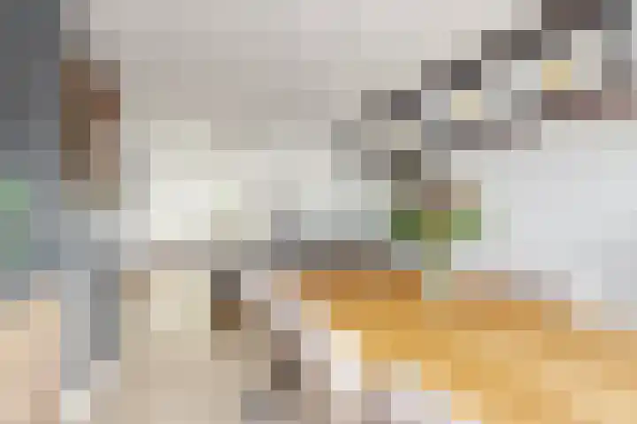 Oranjestraat 9 Klundert thumbnail 19