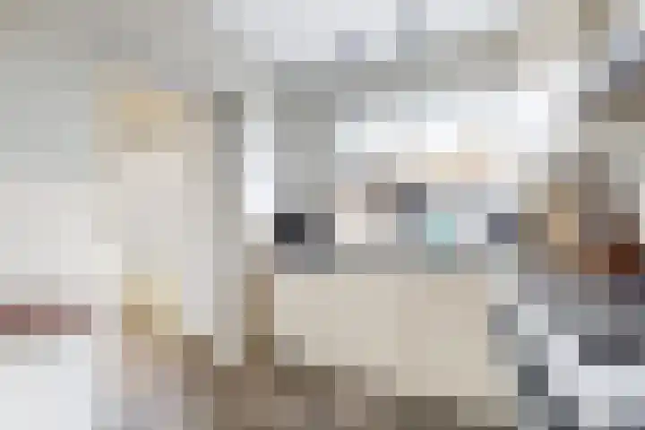 Oranjestraat 9 Klundert thumbnail 23