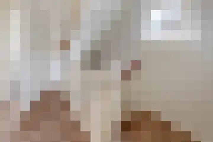 Oranjestraat 9 Klundert thumbnail 30