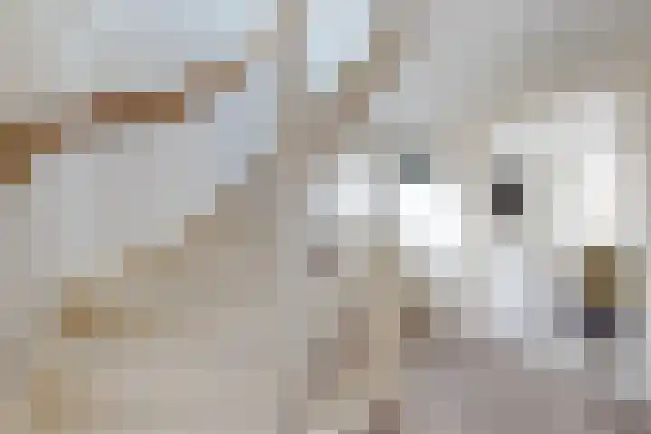 Oranjestraat 9 Klundert thumbnail 42