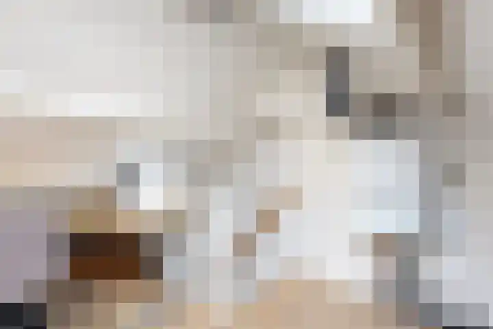 Oranjestraat 9 Klundert thumbnail 43