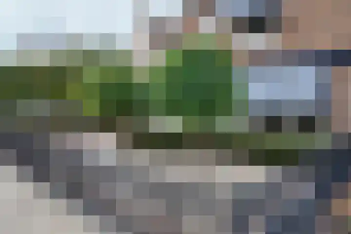 Oranjestraat 9 Klundert thumbnail 61