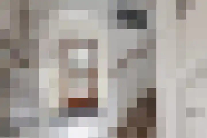 Oranjestraat 9 Klundert thumbnail 7