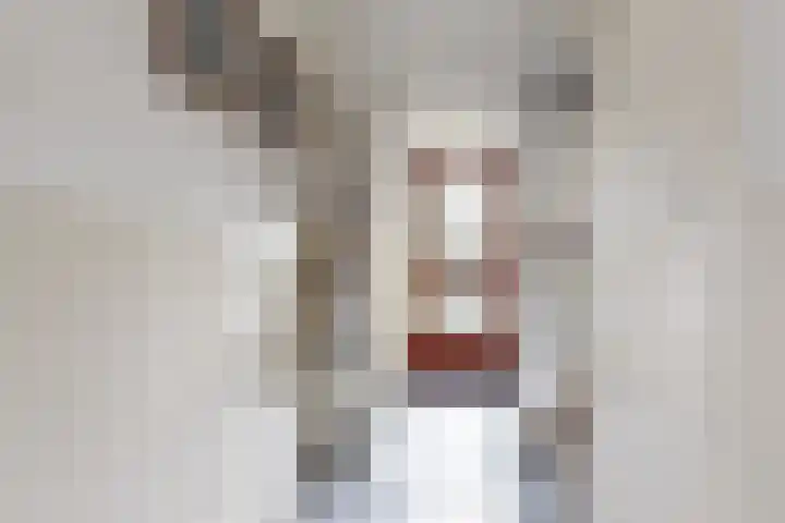 Oranjestraat 9 Klundert thumbnail 8