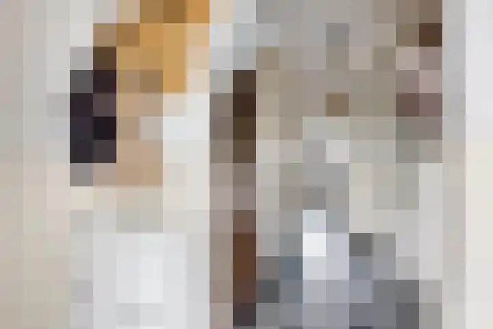 Oranjestraat 9 Klundert thumbnail 9