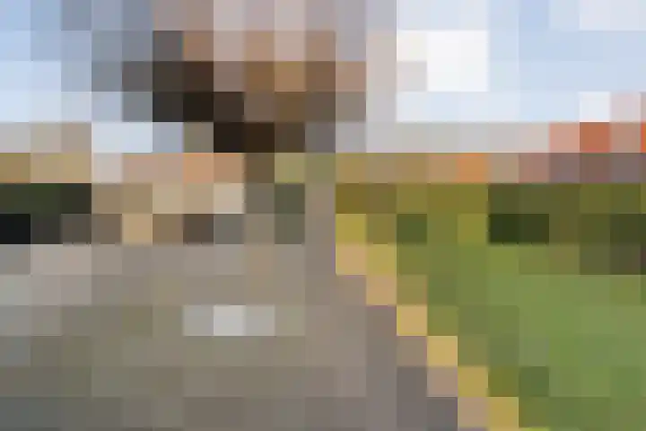 Oranjestraat 9 Smilde thumbnail 34