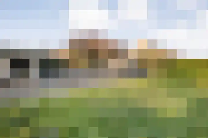 Oranjestraat 9 Smilde thumbnail 35