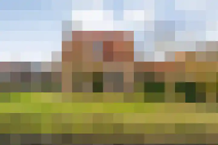 Oranjestraat 9 Smilde thumbnail 4