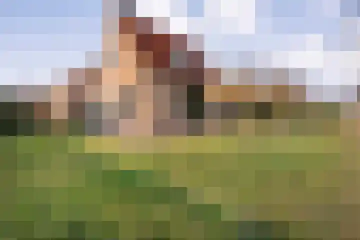 Oranjestraat 9 Smilde thumbnail 42
