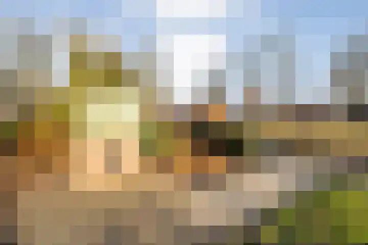 Oranjestraat 9 Smilde thumbnail 46