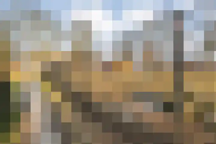 Oranjestraat 9 Smilde thumbnail 47