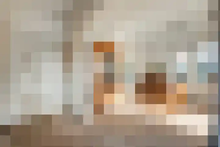 Oranjestraat 9 Smilde thumbnail 6
