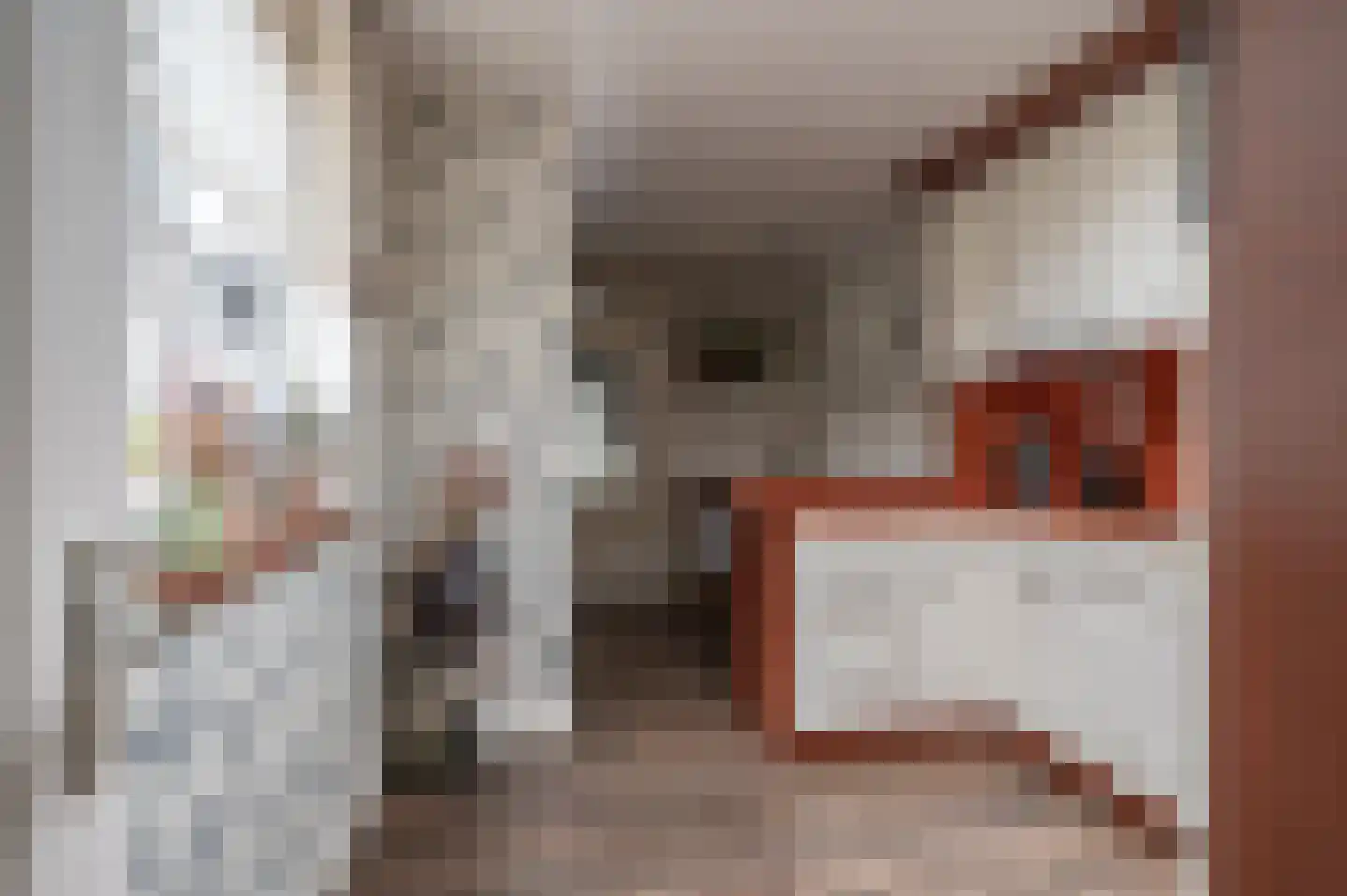 Oranjestraat 9 Staphorst thumbnail 11