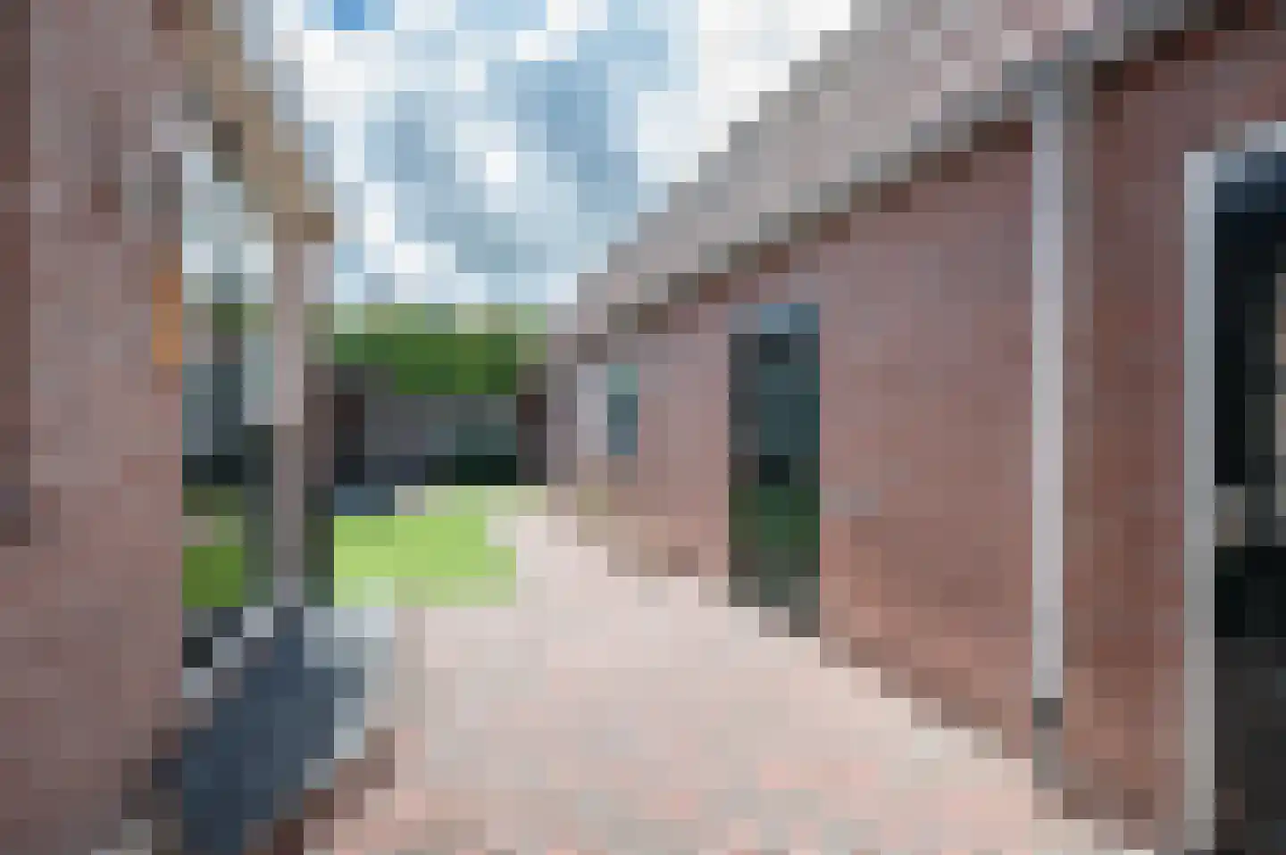 Oranjestraat 9 Staphorst thumbnail 23