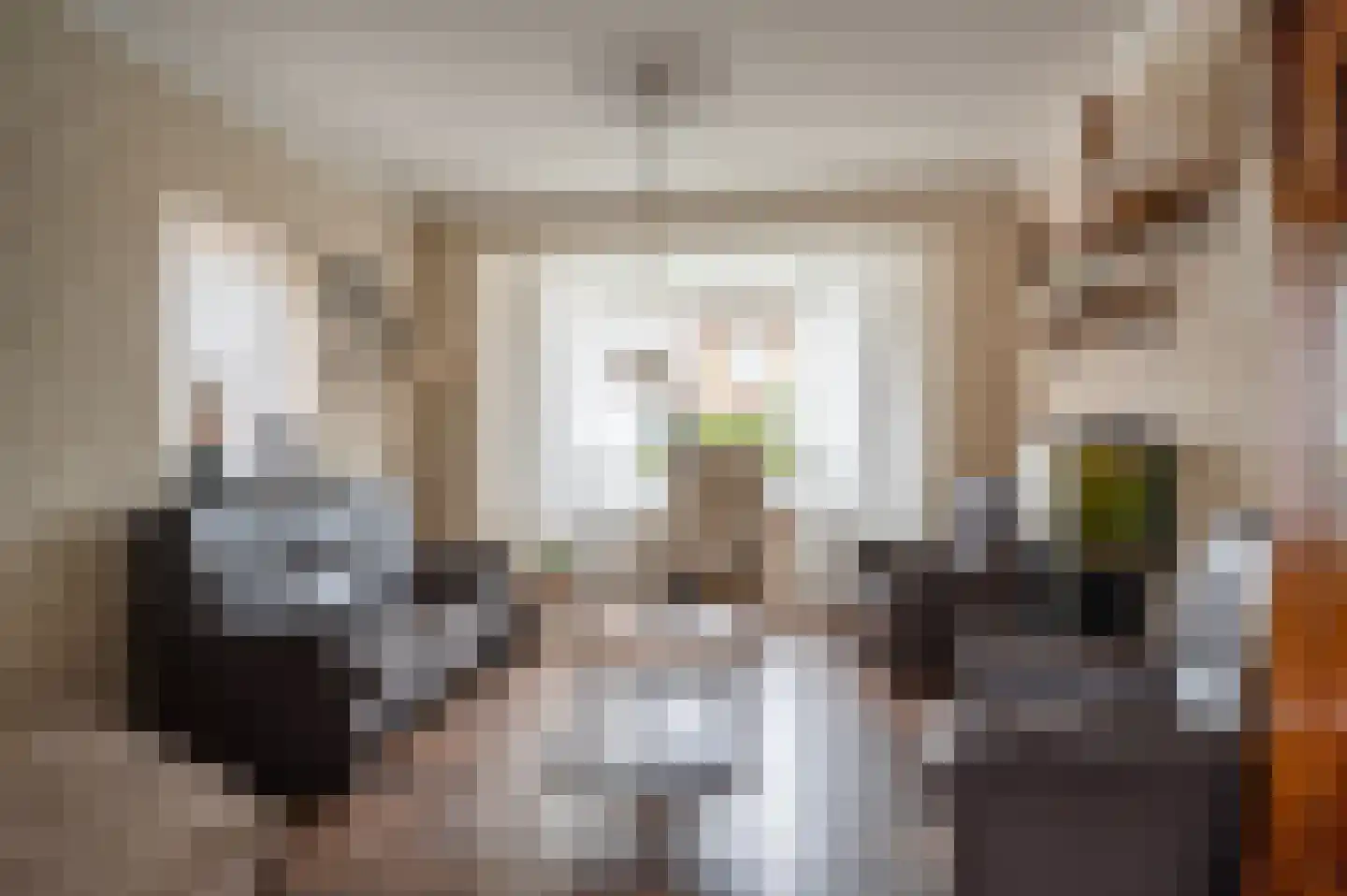 Oranjestraat 9 Staphorst thumbnail 4