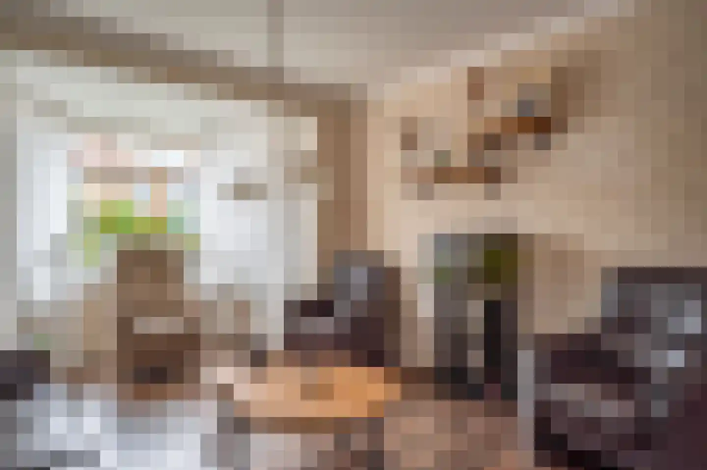 Oranjestraat 9 Staphorst thumbnail 5