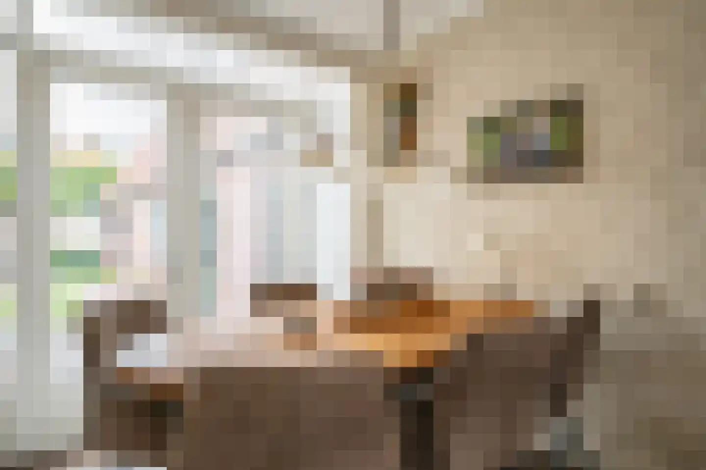 Oranjestraat 9 Staphorst thumbnail 7