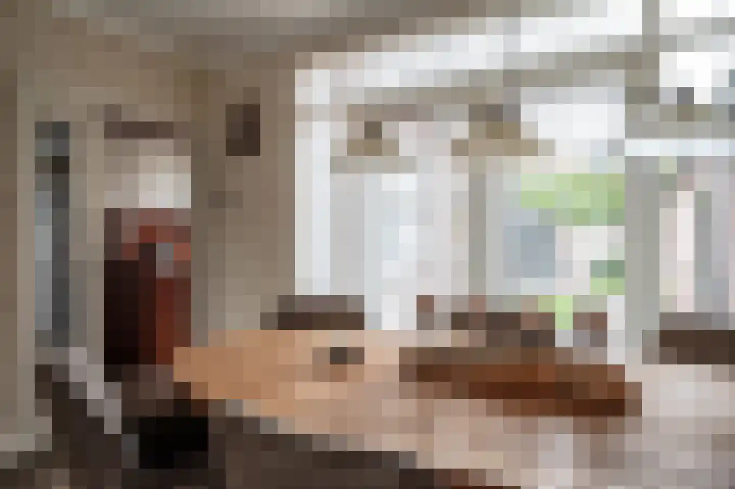 Oranjestraat 9 Staphorst thumbnail 8