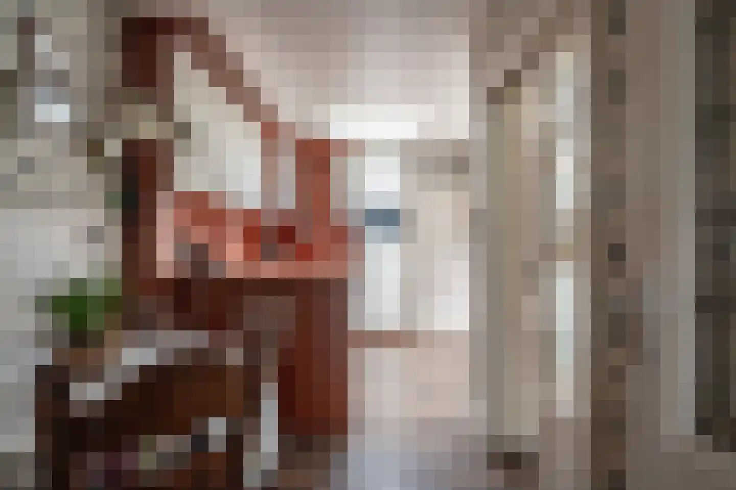 Oranjestraat 9 Staphorst thumbnail 9