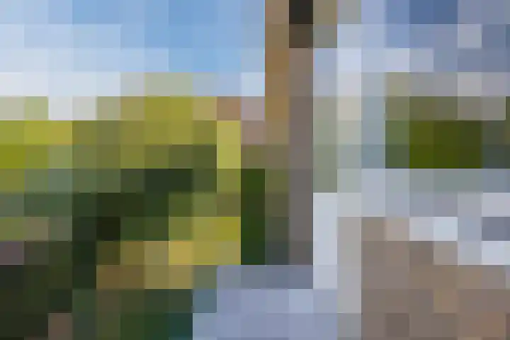 Oranjestraat 9 Terneuzen thumbnail 22