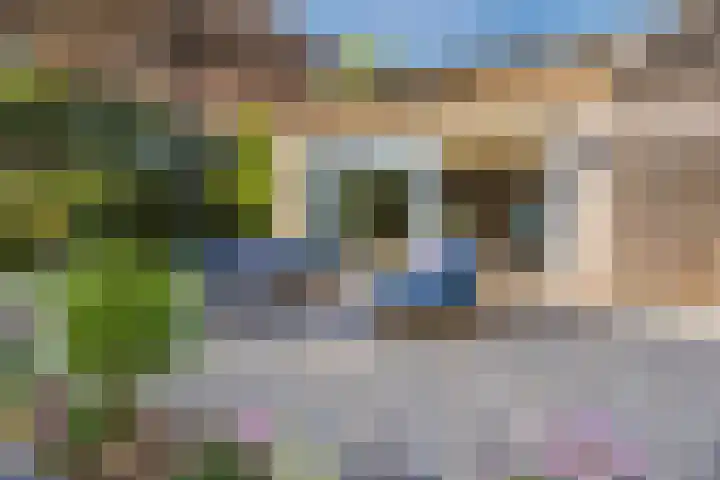 Oranjestraat 9 Terneuzen thumbnail 30