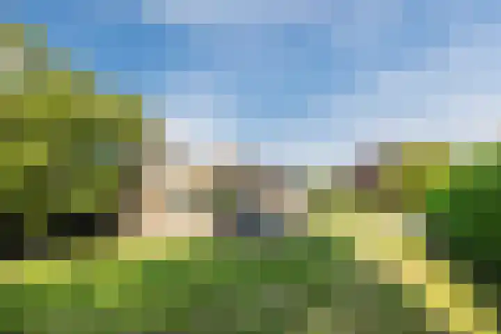 Oranjestraat 9 Terneuzen thumbnail 31