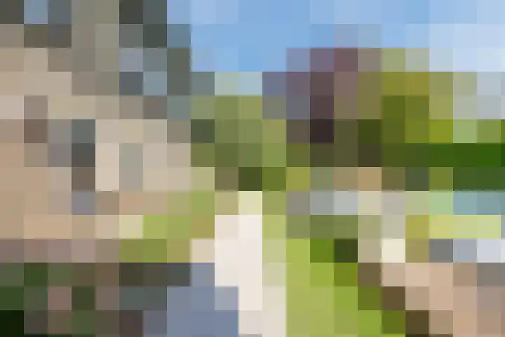 Oranjestraat 9 Terneuzen thumbnail 33