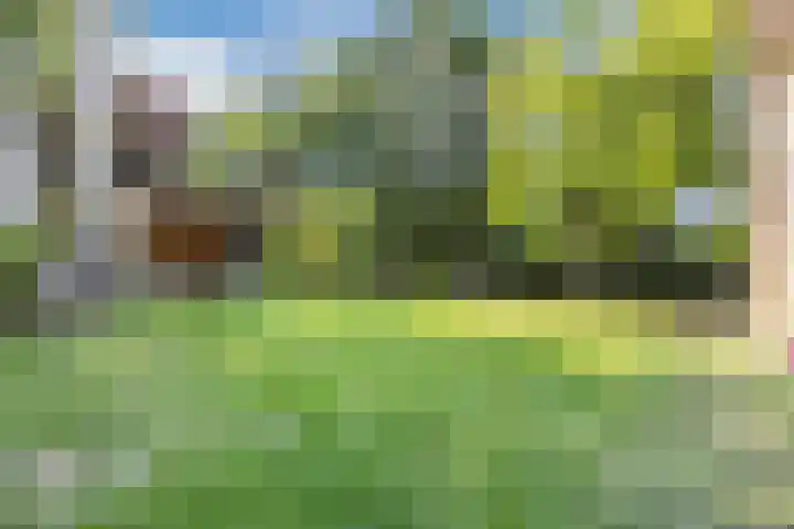 Oranjestraat 9 Terneuzen thumbnail 34