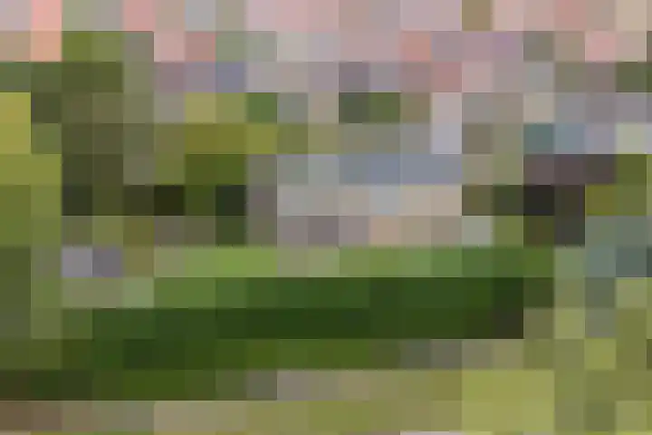 Oranjestraat 9 Terneuzen thumbnail 40