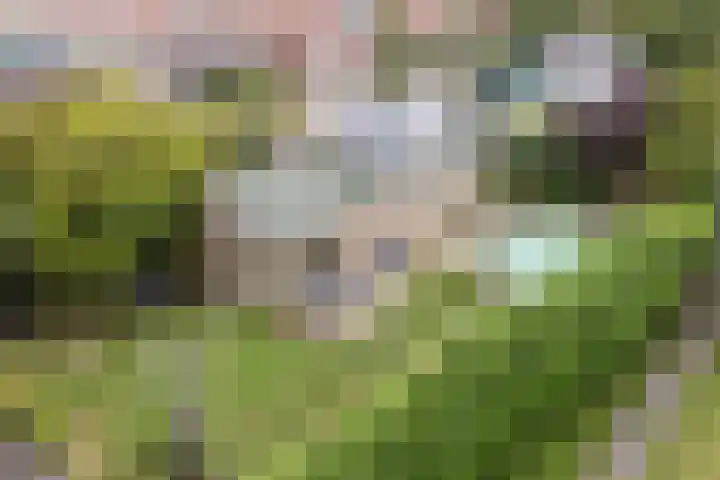Oranjestraat 9 Terneuzen thumbnail 41