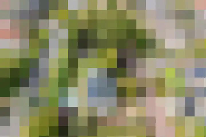 Oranjestraat 9 Terneuzen thumbnail 42