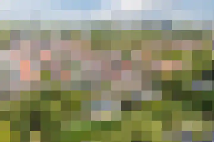 Oranjestraat 9 Terneuzen thumbnail 43