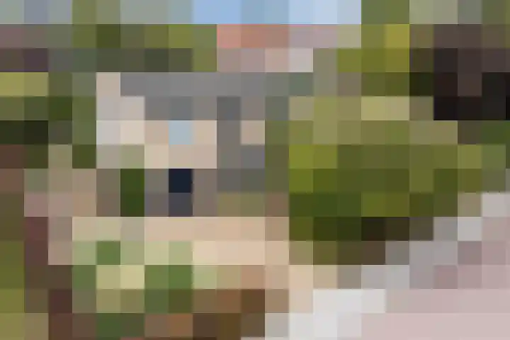 Oranjestraat 9 Terneuzen thumbnail 45