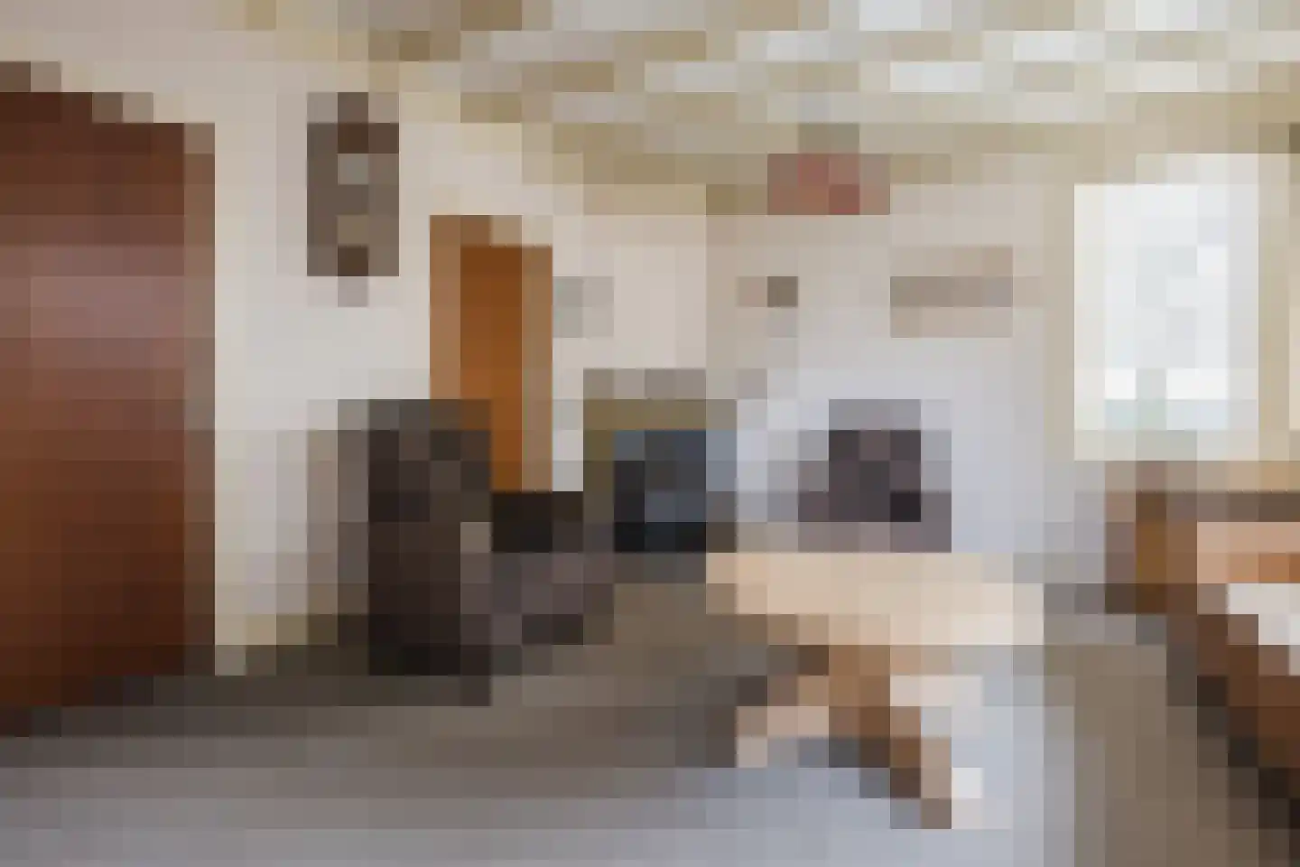 Oranjestraat 9 Vroomshoop thumbnail 10