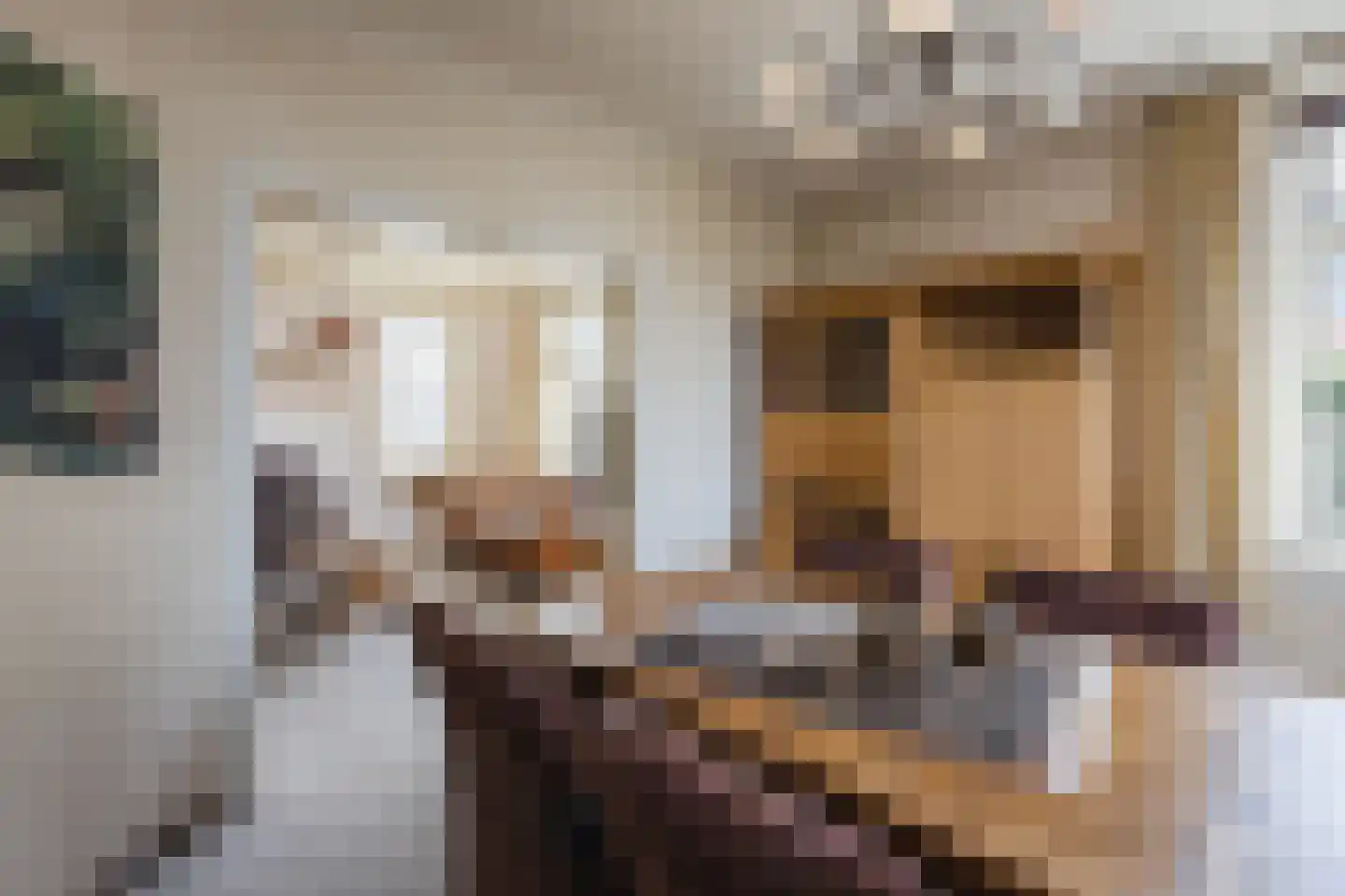 Oranjestraat 9 Vroomshoop thumbnail 12