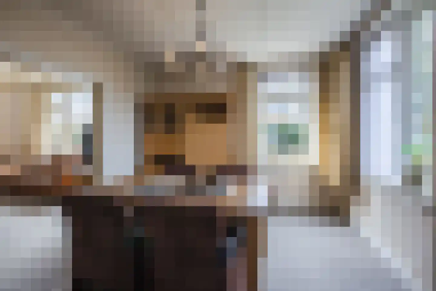 Oranjestraat 9 Vroomshoop thumbnail 13