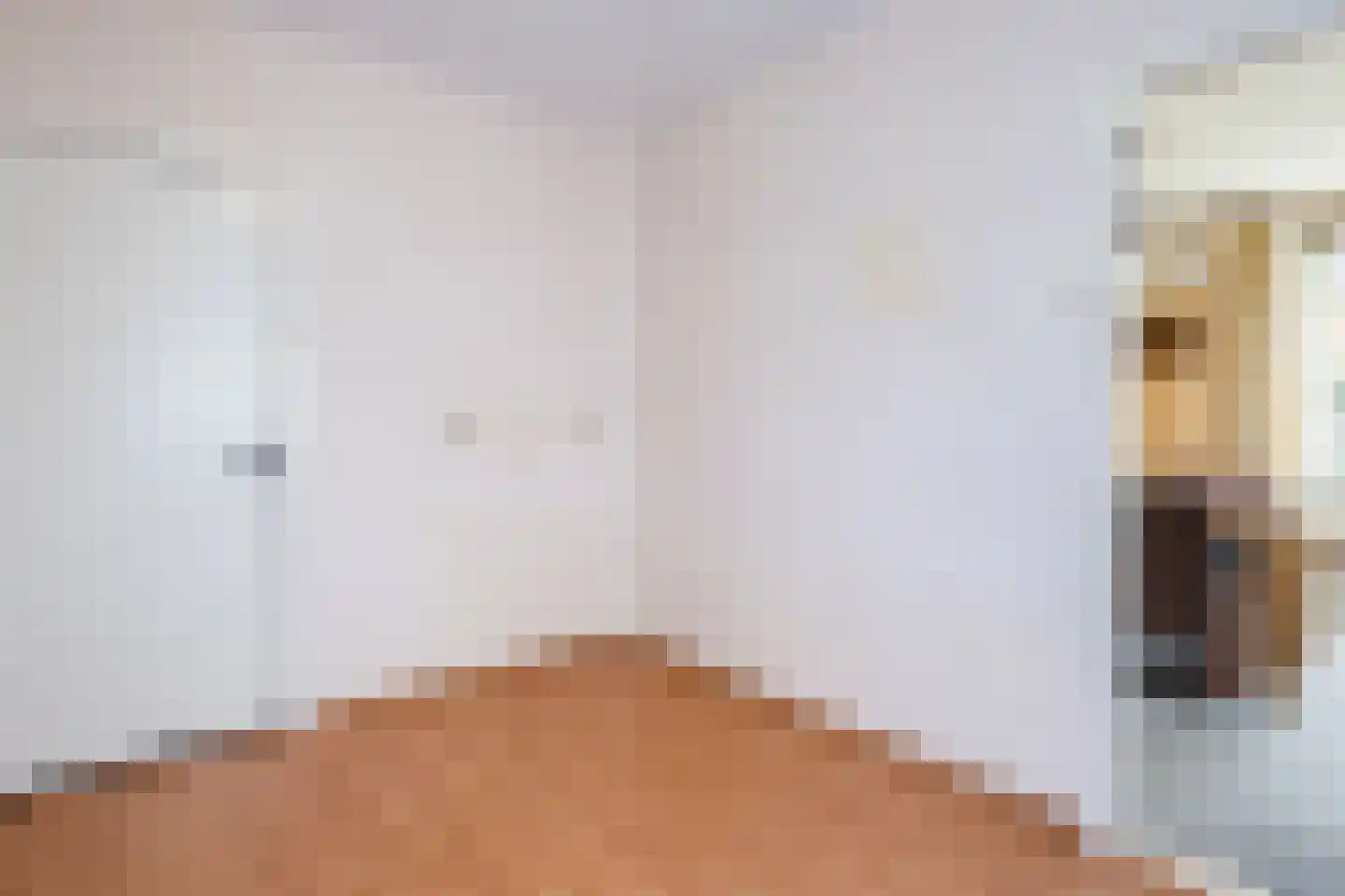 Oranjestraat 9 Vroomshoop thumbnail 15