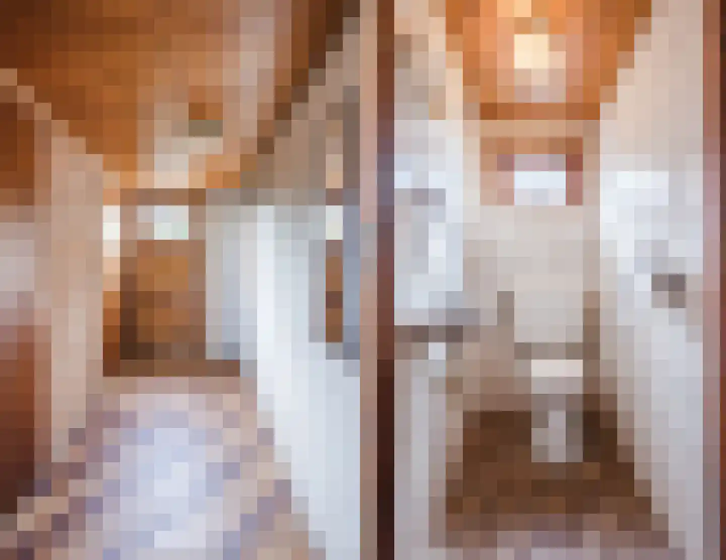 Oranjestraat 9 Vroomshoop thumbnail 21