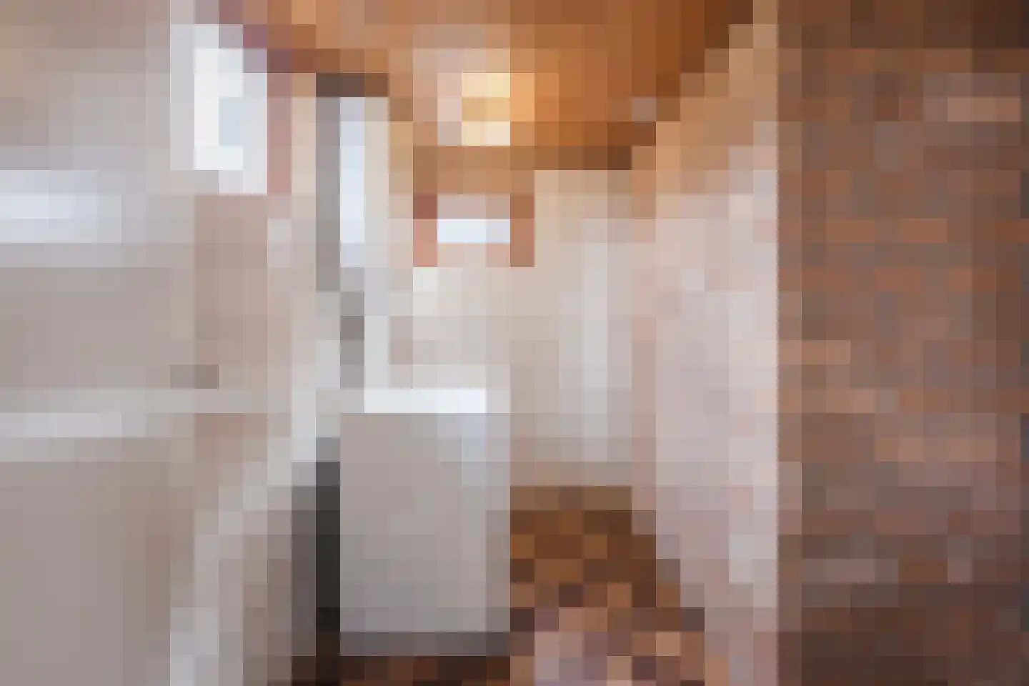 Oranjestraat 9 Vroomshoop thumbnail 22
