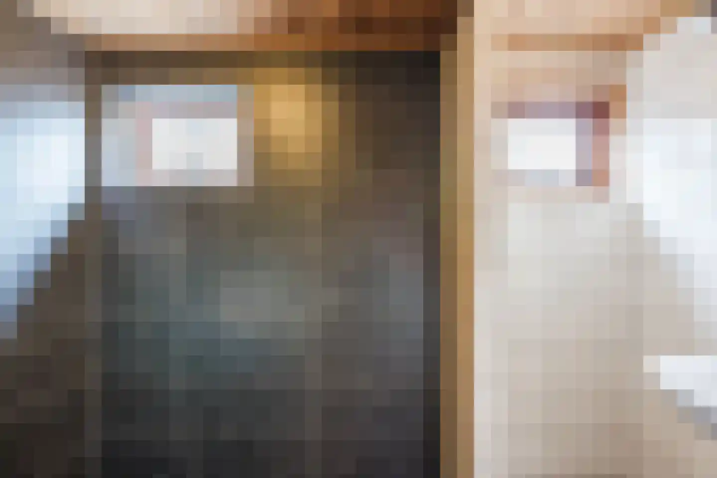 Oranjestraat 9 Vroomshoop thumbnail 23