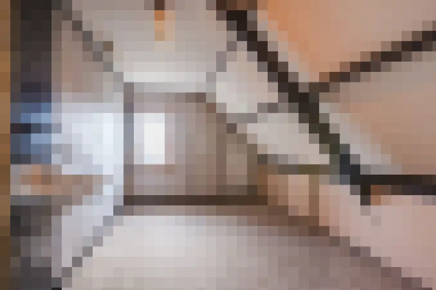 Oranjestraat 9 Vroomshoop thumbnail 37
