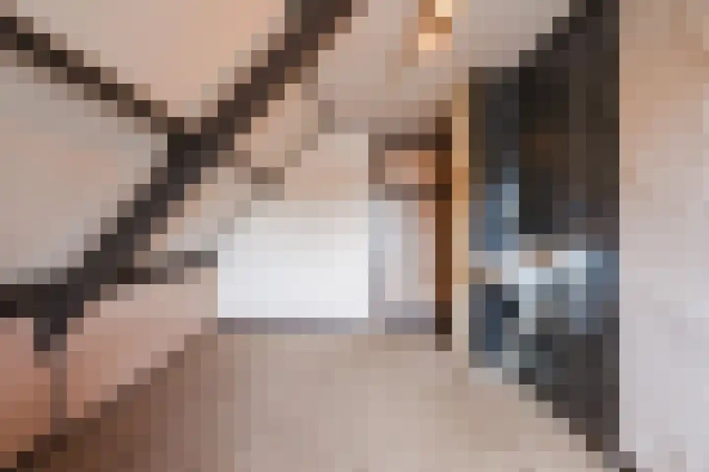 Oranjestraat 9 Vroomshoop thumbnail 38