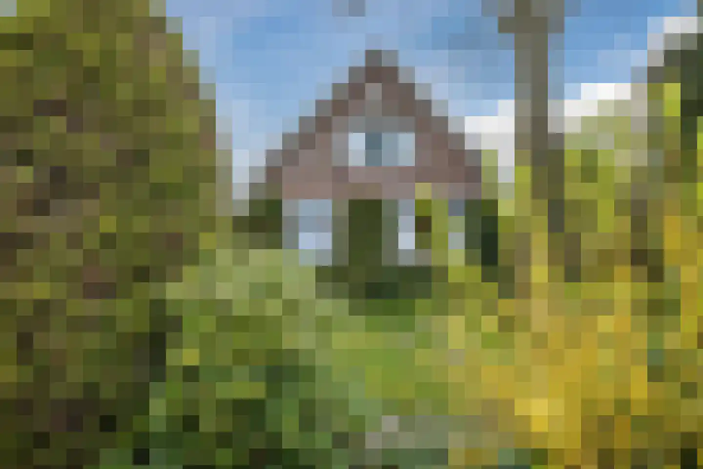 Oranjestraat 9 Vroomshoop thumbnail 40