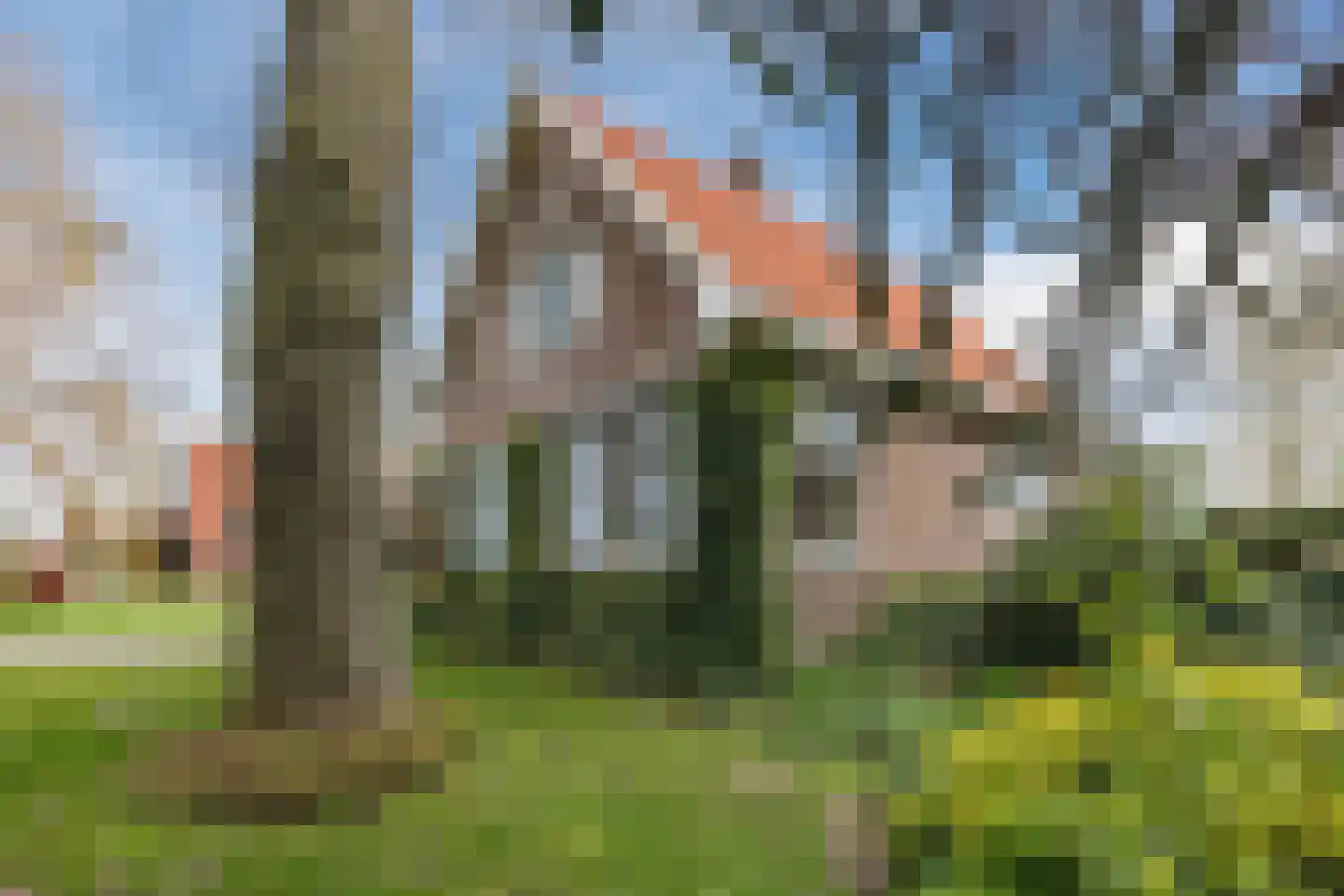 Oranjestraat 9 Vroomshoop thumbnail 43