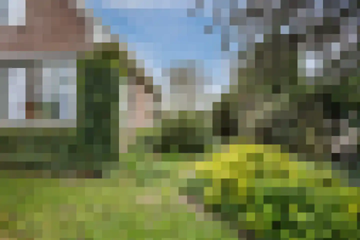 Oranjestraat 9 Vroomshoop thumbnail 44