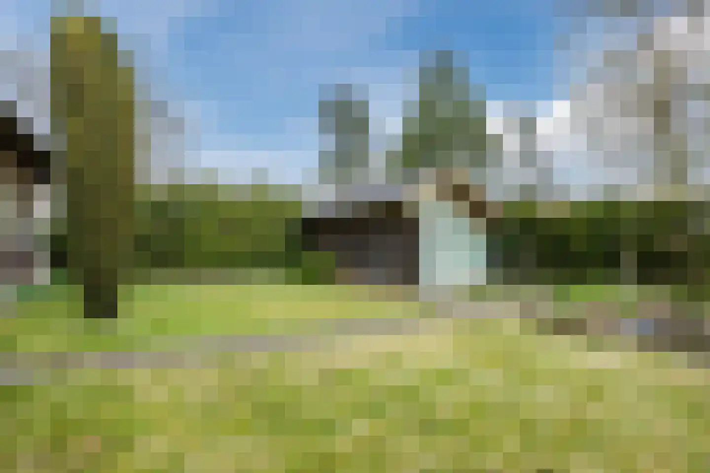 Oranjestraat 9 Vroomshoop thumbnail 47