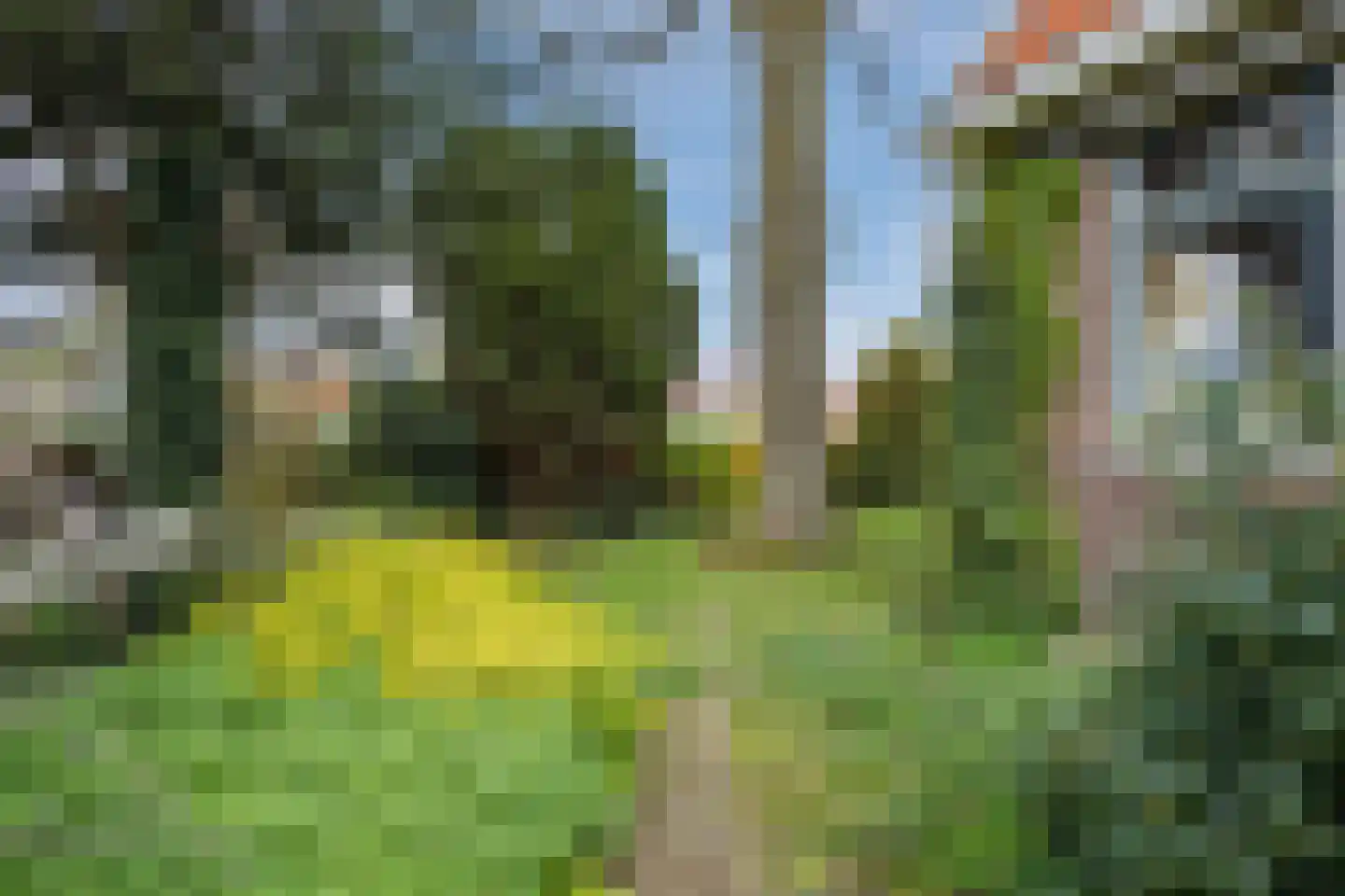 Oranjestraat 9 Vroomshoop thumbnail 52